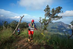 BIB: 
                            <button type="button" onclick="openModal(22430955)" class="btn btn-primary btn-sm float-right btn-popup" data-toggle="modal" data-target=".modal-high-quality">
                        <i class="fas fa-shopping-cart"></i> Add to Cart
                    </button>
                                            <button type="button" onclick="isThisMe(22430955, true)" class="btn btn-success btn-sm float-right btn-popup btn-isme hidden" data-toggle="tooltip" data-placement="bottom" title="นี่คือรูปของคุณใช่ไหม คลิกที่นี่เพื่อเอาเข้าอัลบั้ม">
                        <i class="fas fa-plus"></i> Add to album
                    </button>
                    <button type="button" onclick="isThisMe(22430955, false)" class="btn btn-warning btn-sm float-right btn-popup btn-isnotme hidden">
                        <i class="fas fa-ban"></i> Remove from album
                    </button>